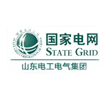 山东电工电气集团